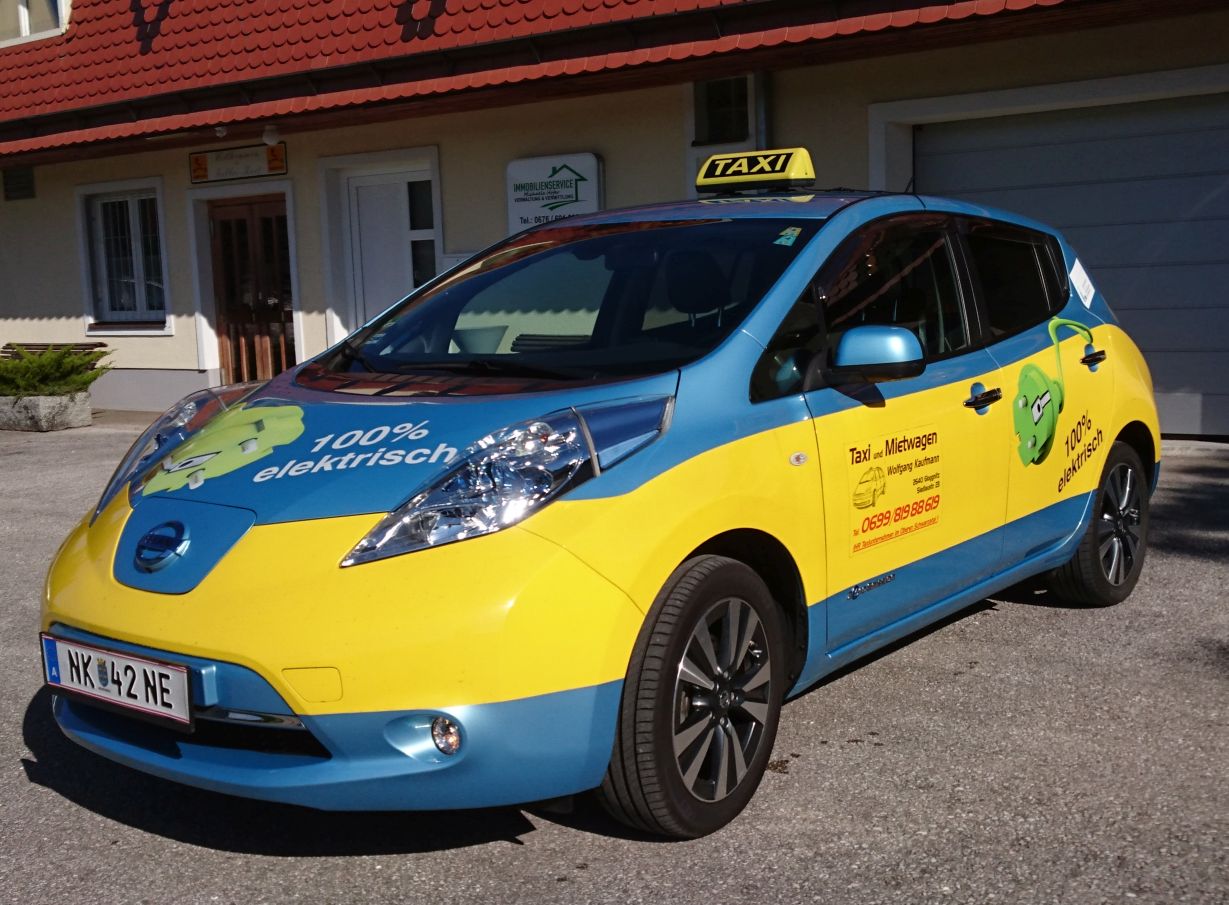 Leaf Elektro